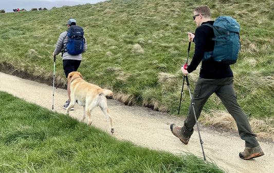 The Best Hiking Pole For Your Next Walk