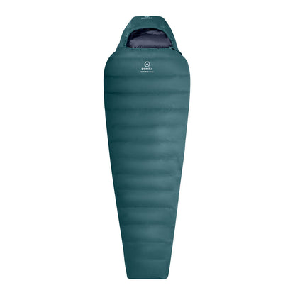 Wanderer 300